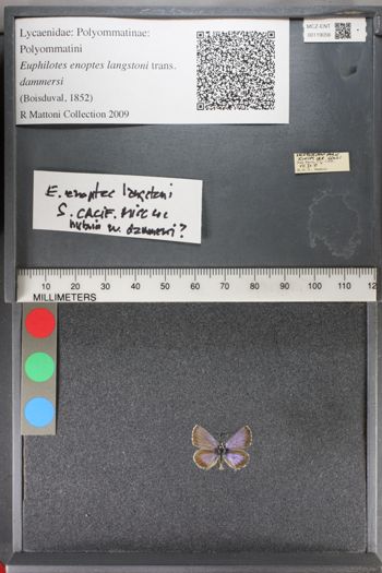 Media type: image;   Entomology 119056